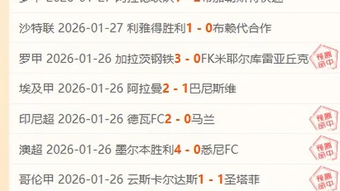 意中商会秘书长：中国高质量发展将为双边经贸合作带来新契机